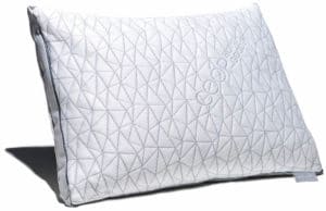 coop home goods eden pillow