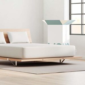 What to expect at $1000 range? sleep junkie