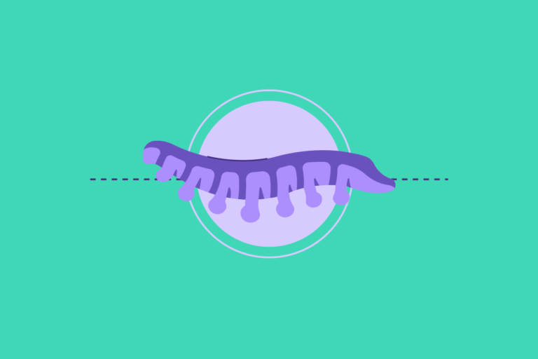 How to Set an Adjustable Bed to Zero Gravity Sleeping Position (And the Benefits) Sleep Junkie