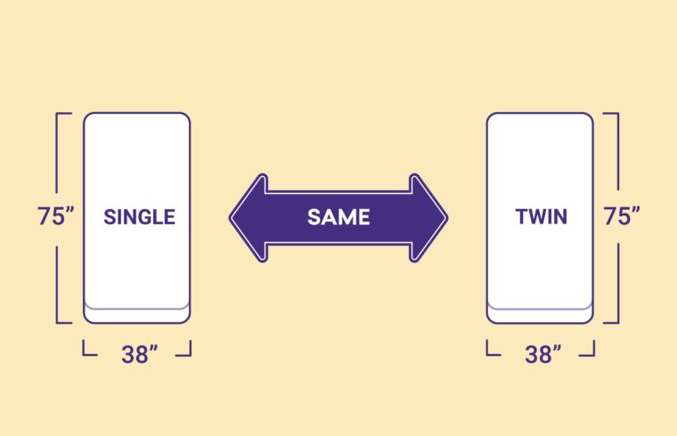 Single vs. Twin Bed Size: What’s the Difference?