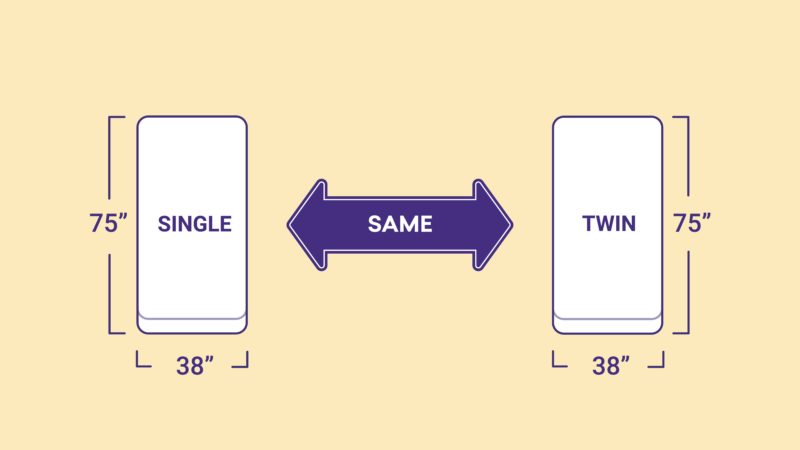 Single vs. Twin Bed Size: What's the Difference? - Sleep Junkie