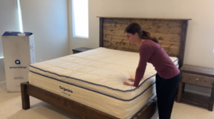 Sleep Junkie Mattress Testing